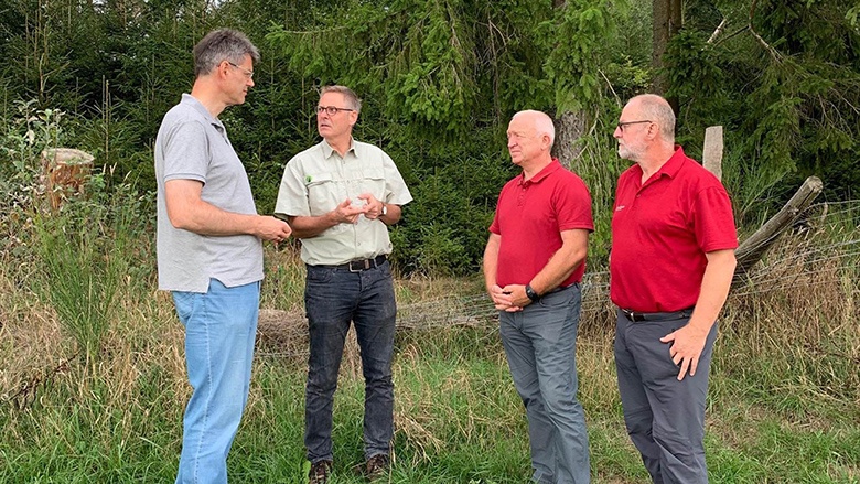 190828_wald_i.jpg